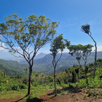 Black River Georges National Park