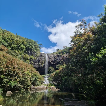 Tamarind 7 Cascades, Waterfalls