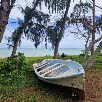 Mauritius Vibe