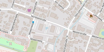 Kiteschule auf Satellitenbild