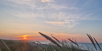Kiteschule - Spotlevel: Fortgeschritten - Kitespot Grüner Brink, Fehmarn - Grüner Brink, Fehmarn